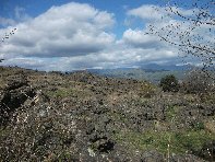 iara Scorciavacca-20110306 015
